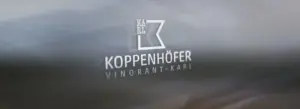 Vinorant Karl: Logodesign – Ansicht 1